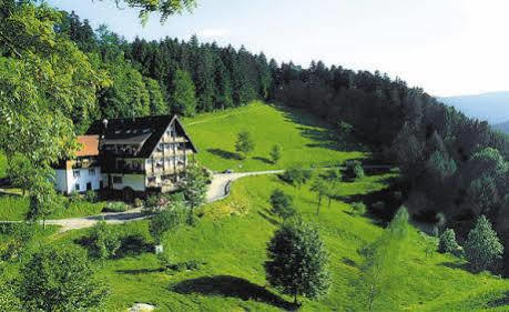 Md Waldhotel Palmspring Bad Peterstal-Griesbach Buitenkant foto