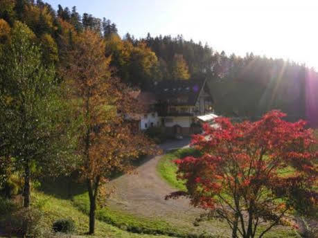Md Waldhotel Palmspring Bad Peterstal-Griesbach Buitenkant foto
