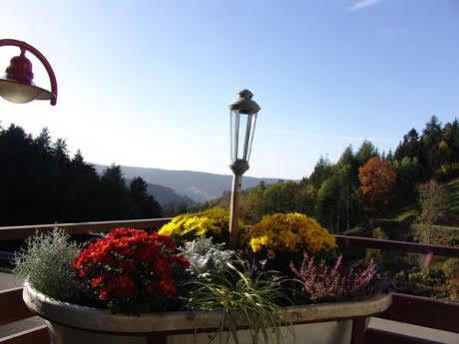 Md Waldhotel Palmspring Bad Peterstal-Griesbach Buitenkant foto